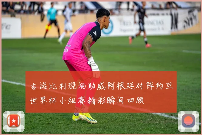 吉诺比利现场助威阿根廷对阵约旦世界杯小组赛精彩瞬间回顾
